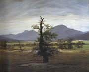 Caspar David Friedrich Landscape with Solitary Tree (mk10) Spain oil painting artist